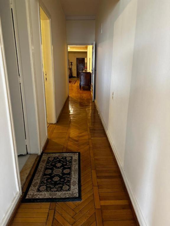 Zamalek Apartment