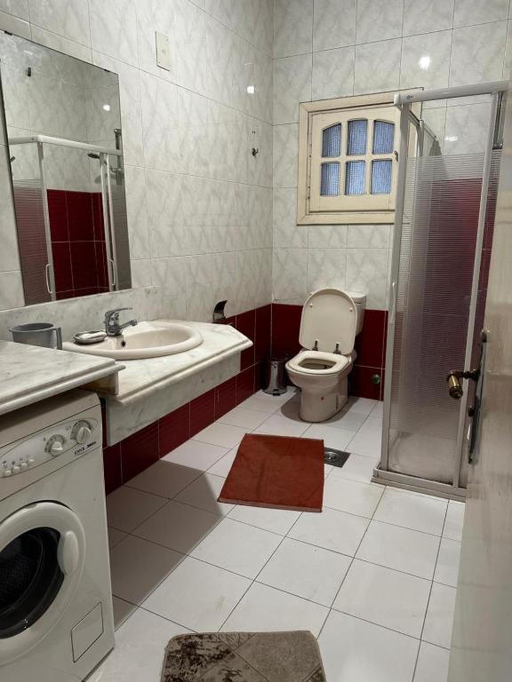 Zamalek Apartment